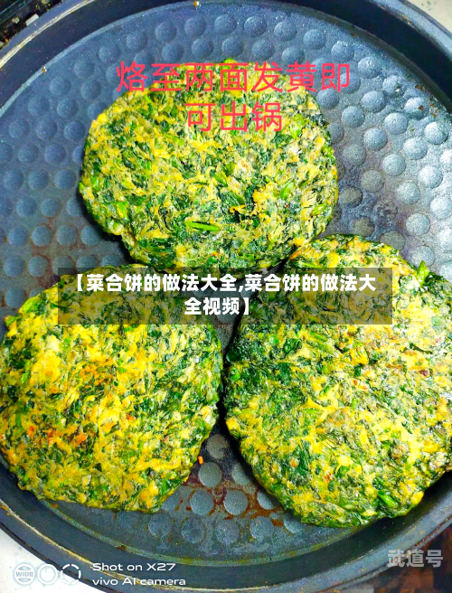 【菜合饼的做法大全,菜合饼的做法大全视频】