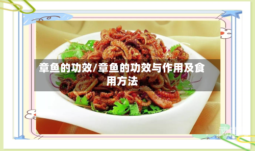 章鱼的功效/章鱼的功效与作用及食用方法