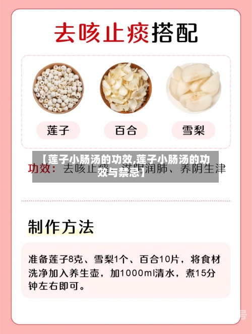 【莲子小肠汤的功效,莲子小肠汤的功效与禁忌】