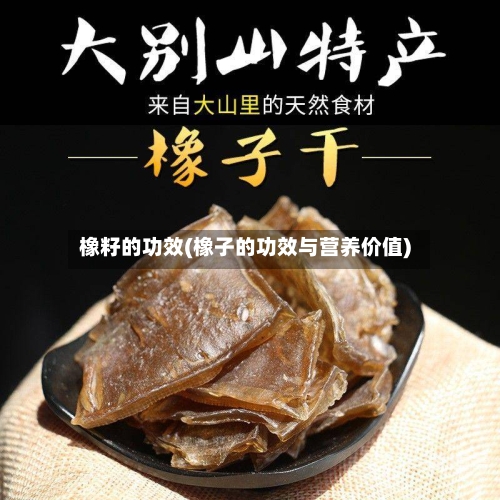 橡籽的功效(橡子的功效与营养价值)