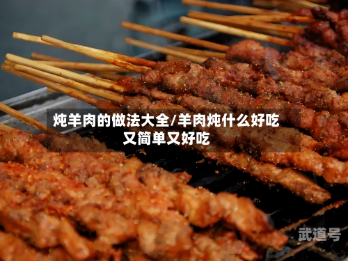 炖羊肉的做法大全/羊肉炖什么好吃又简单又好吃