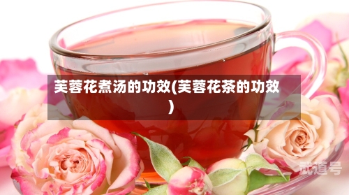 芙蓉花煮汤的功效(芙蓉花茶的功效)