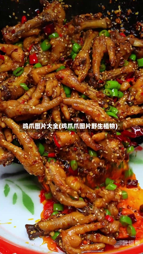 鸡爪图片大全(鸡爪爪图片野生植物)