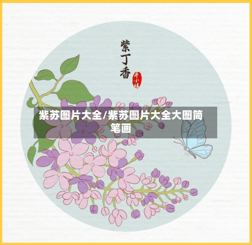 紫苏图片大全/紫苏图片大全大图简笔画