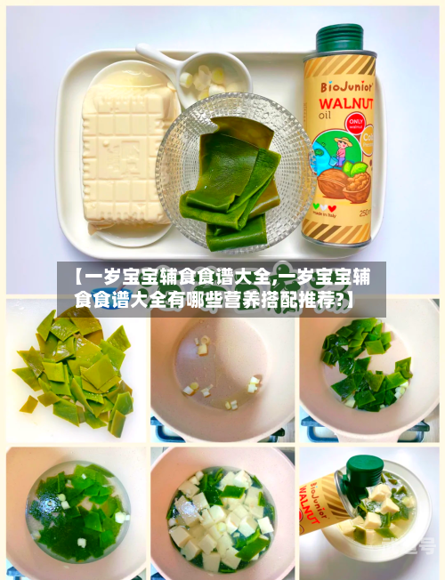 【一岁宝宝辅食食谱大全,一岁宝宝辅食食谱大全有哪些营养搭配推荐?】