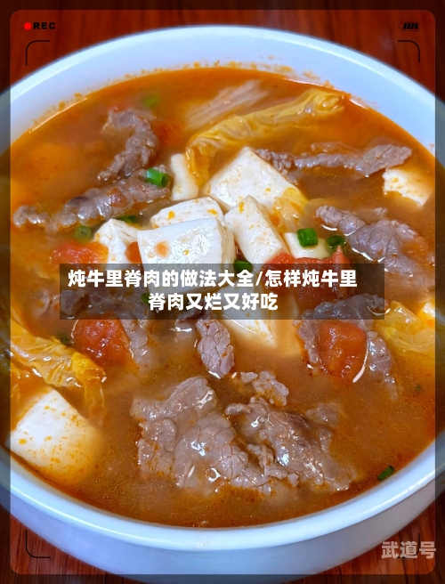 炖牛里脊肉的做法大全/怎样炖牛里脊肉又烂又好吃
