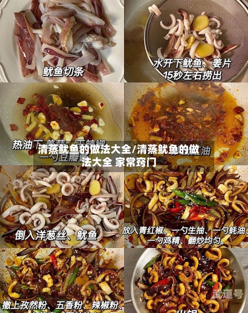 清蒸鱿鱼的做法大全/清蒸鱿鱼的做法大全 家常窍门