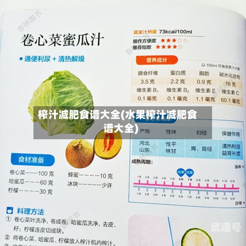 榨汁减肥食谱大全(水果榨汁减肥食谱大全)