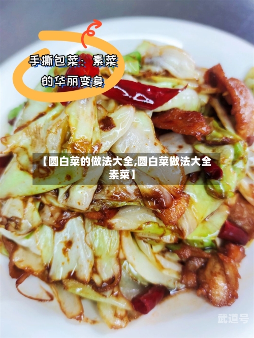 【圆白菜的做法大全,圆白菜做法大全素菜】