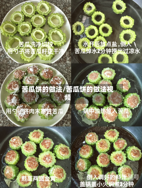 苦瓜饼的做法/苦瓜饼的做法视频