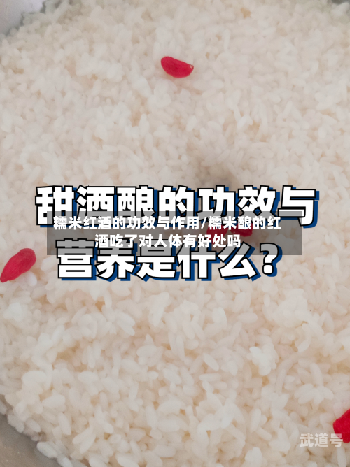 糯米红酒的功效与作用/糯米酿的红酒吃了对人体有好处吗