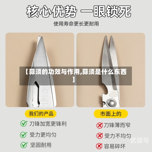 【蒜须的功效与作用,蒜须是什么东西】