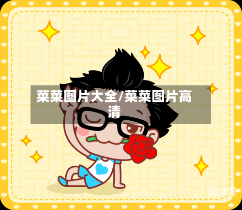 菜菜图片大全/菜菜图片高清