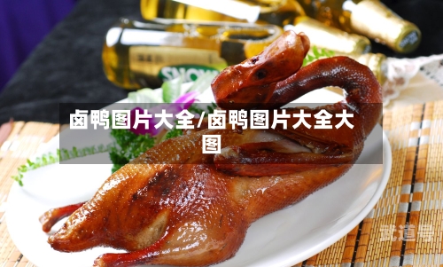 卤鸭图片大全/卤鸭图片大全大图
