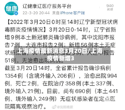 上海疫情最新消息3月20日/上海疫情新增3