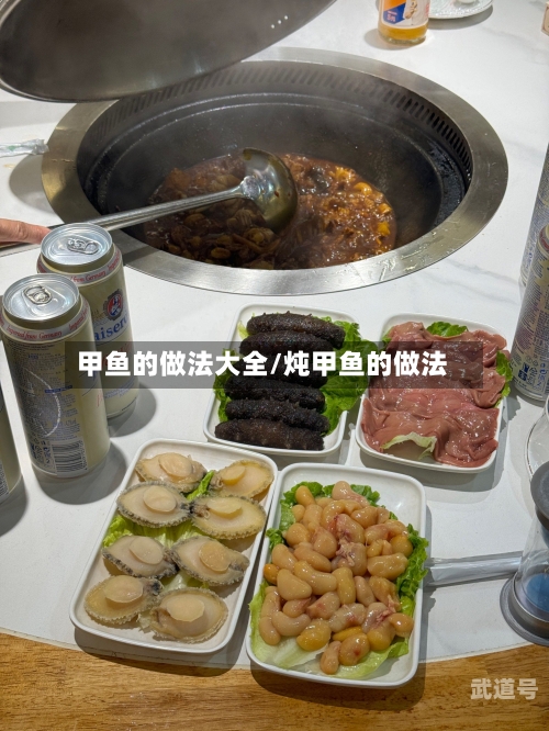 甲鱼的做法大全/炖甲鱼的做法