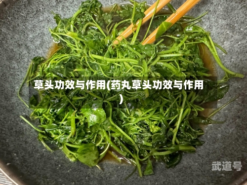 草头功效与作用(药丸草头功效与作用)
