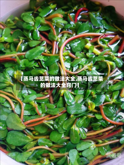 【蒸马齿苋菜的做法大全,蒸马齿苋菜的做法大全窍门】