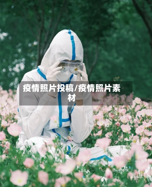 疫情照片投稿/疫情照片素材