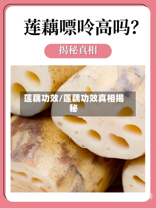 莲藕功效/莲藕功效真相揭秘