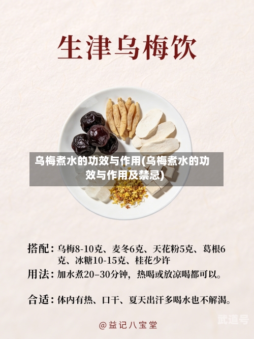 乌梅煮水的功效与作用(乌梅煮水的功效与作用及禁忌)