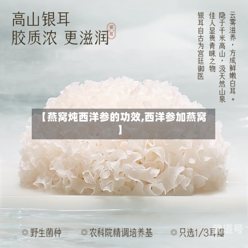 【燕窝炖西洋参的功效,西洋参加燕窝】