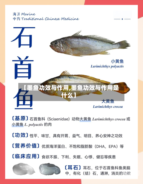 【墨鱼功效与作用,墨鱼功效与作用是什么】