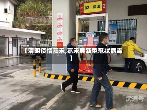 【清明疫情嘉禾,嘉禾县新型冠状病毒】