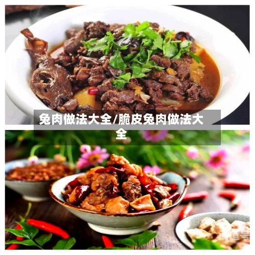 兔肉做法大全/脆皮兔肉做法大全