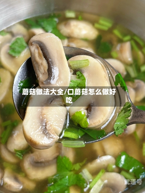 蘑菇做法大全/口蘑菇怎么做好吃