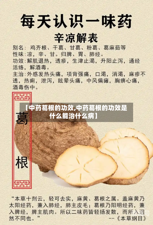 【中药葛根的功效,中药葛根的功效是什么能治什么病】