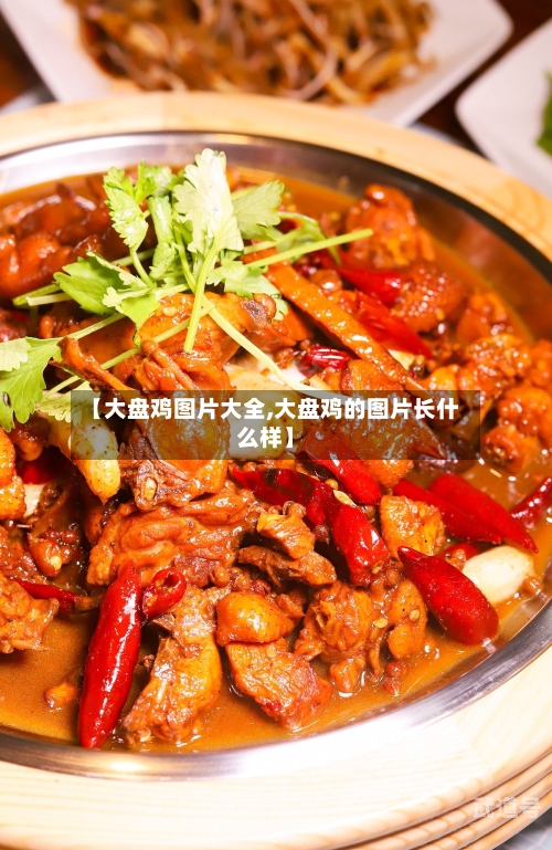 【大盘鸡图片大全,大盘鸡的图片长什么样】