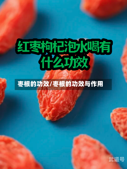 枣根的功效/枣根的功效与作用