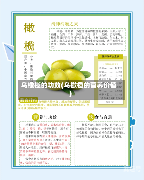 乌橄榄的功效(乌橄榄的营养价值)