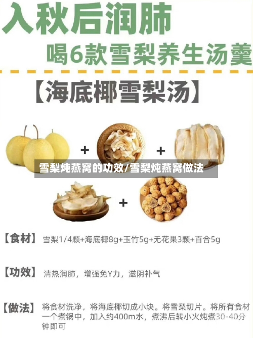 雪梨炖燕窝的功效/雪梨炖燕窝做法
