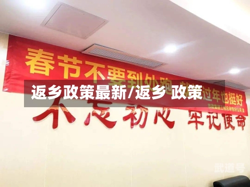 返乡政策最新/返乡 政策