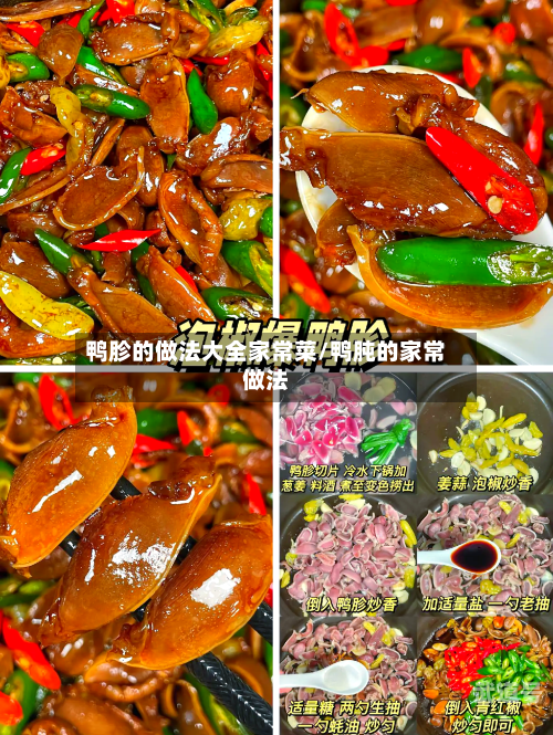 鸭胗的做法大全家常菜/鸭肫的家常做法
