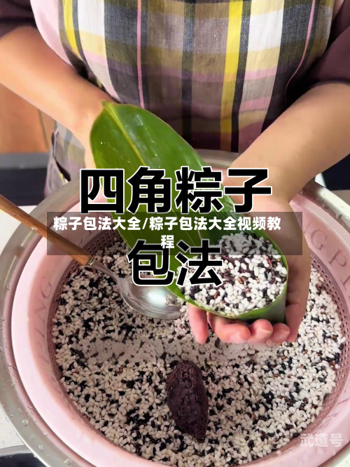 粽子包法大全/粽子包法大全视频教程