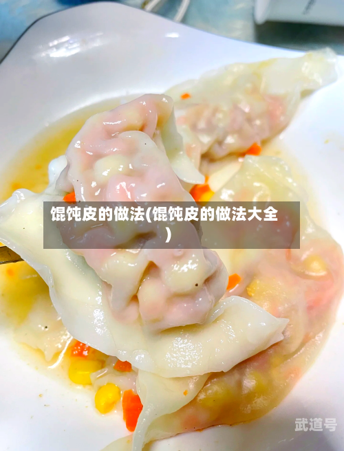 馄饨皮的做法(馄饨皮的做法大全)