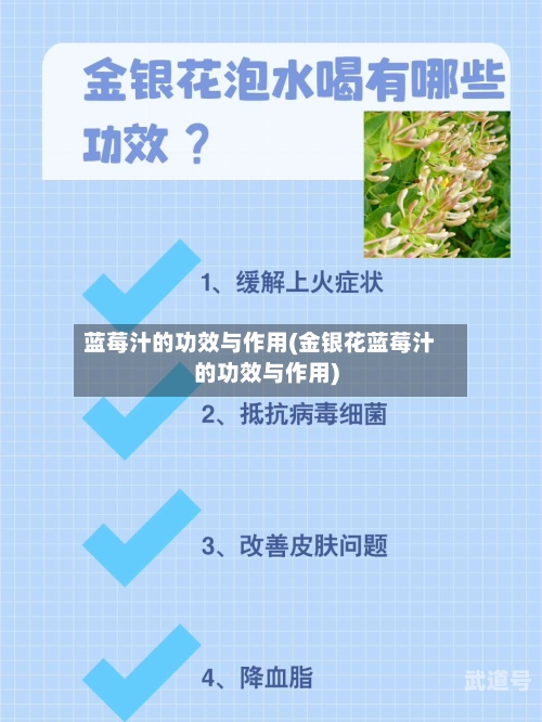 蓝莓汁的功效与作用(金银花蓝莓汁的功效与作用)