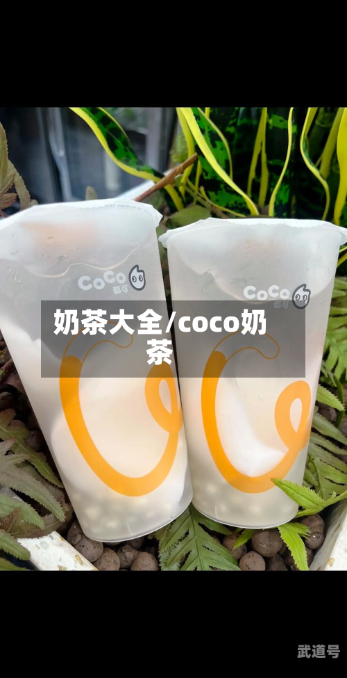 奶茶大全/coco奶茶
