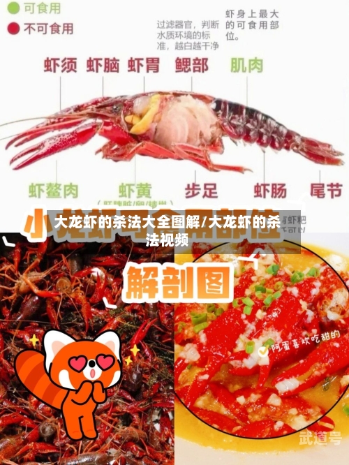 大龙虾的杀法大全图解/大龙虾的杀法视频