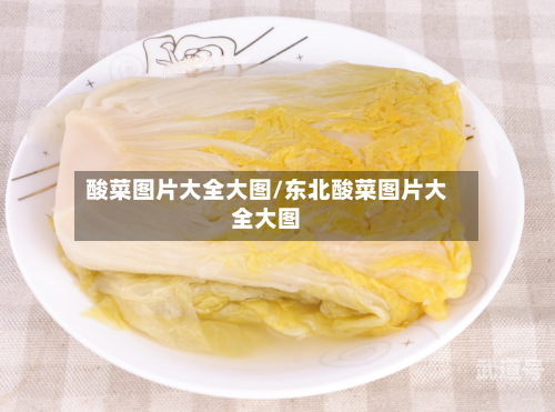酸菜图片大全大图/东北酸菜图片大全大图
