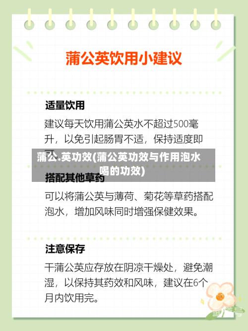 蒲公.英功效(蒲公英功效与作用泡水喝的功效)