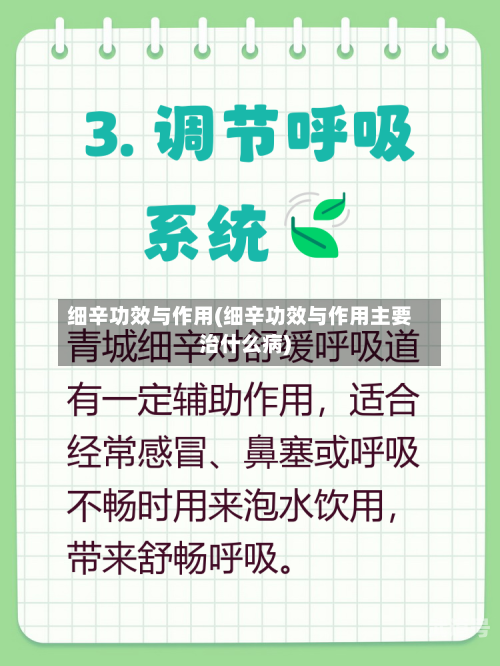 细辛功效与作用(细辛功效与作用主要治什么病)
