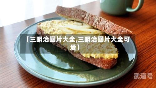 【三明治图片大全,三明治图片大全可爱】