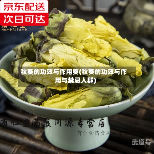 秋葵的功效与作用葵(秋葵的功效与作用与禁忌人群)