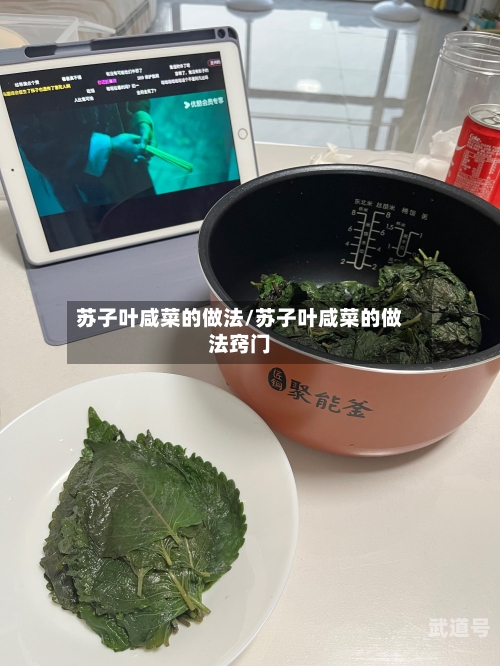 苏子叶咸菜的做法/苏子叶咸菜的做法窍门