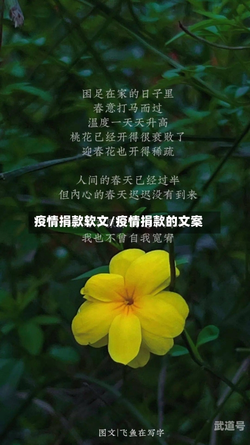 疫情捐款软文/疫情捐款的文案