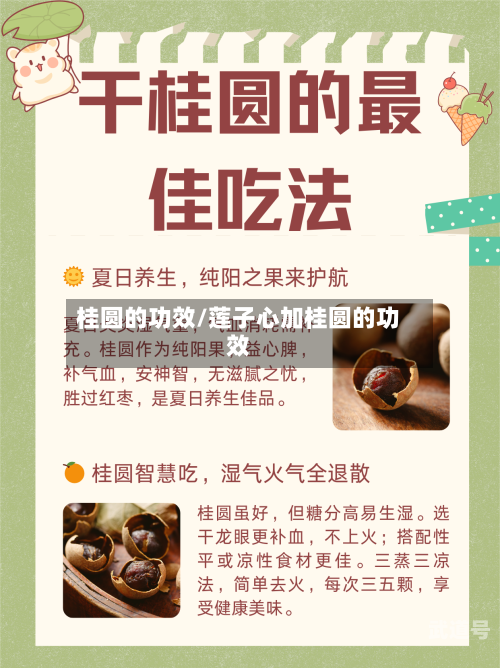 桂圆的功效/莲子心加桂圆的功效